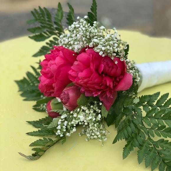 Meet your Posher, Delyn - Picture 1 of 1